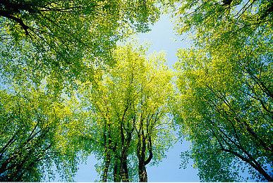 《原子之心》“海底魔力”DLC将于明年1＆28推出